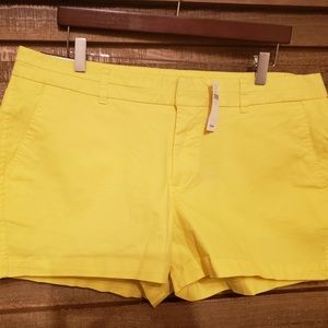 The City 3 Inch Short